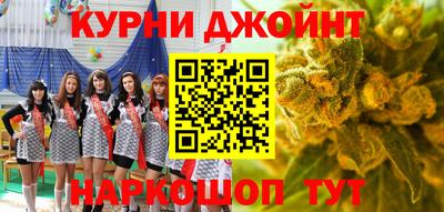 индика Кудымкар