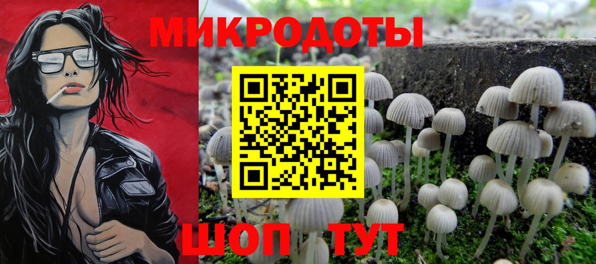 купить наркотики сайты  Вход с VPN  Менделеевск  Галлюциногенные грибы мицелий 