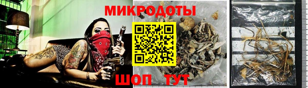 Галлюциногенные грибы GOLDEN TEACHER Менделеевск
